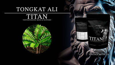 Using Tongkat Ali for Post-Cycle Therapy